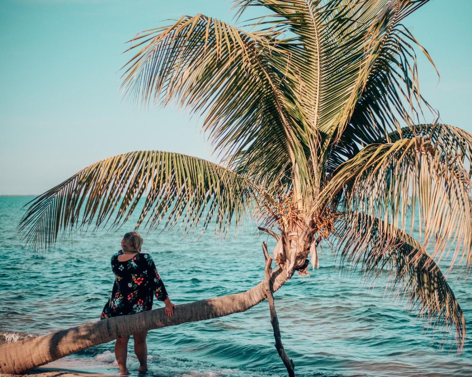 ラルー ベヤ リゾート Placencia エクステリア 写真