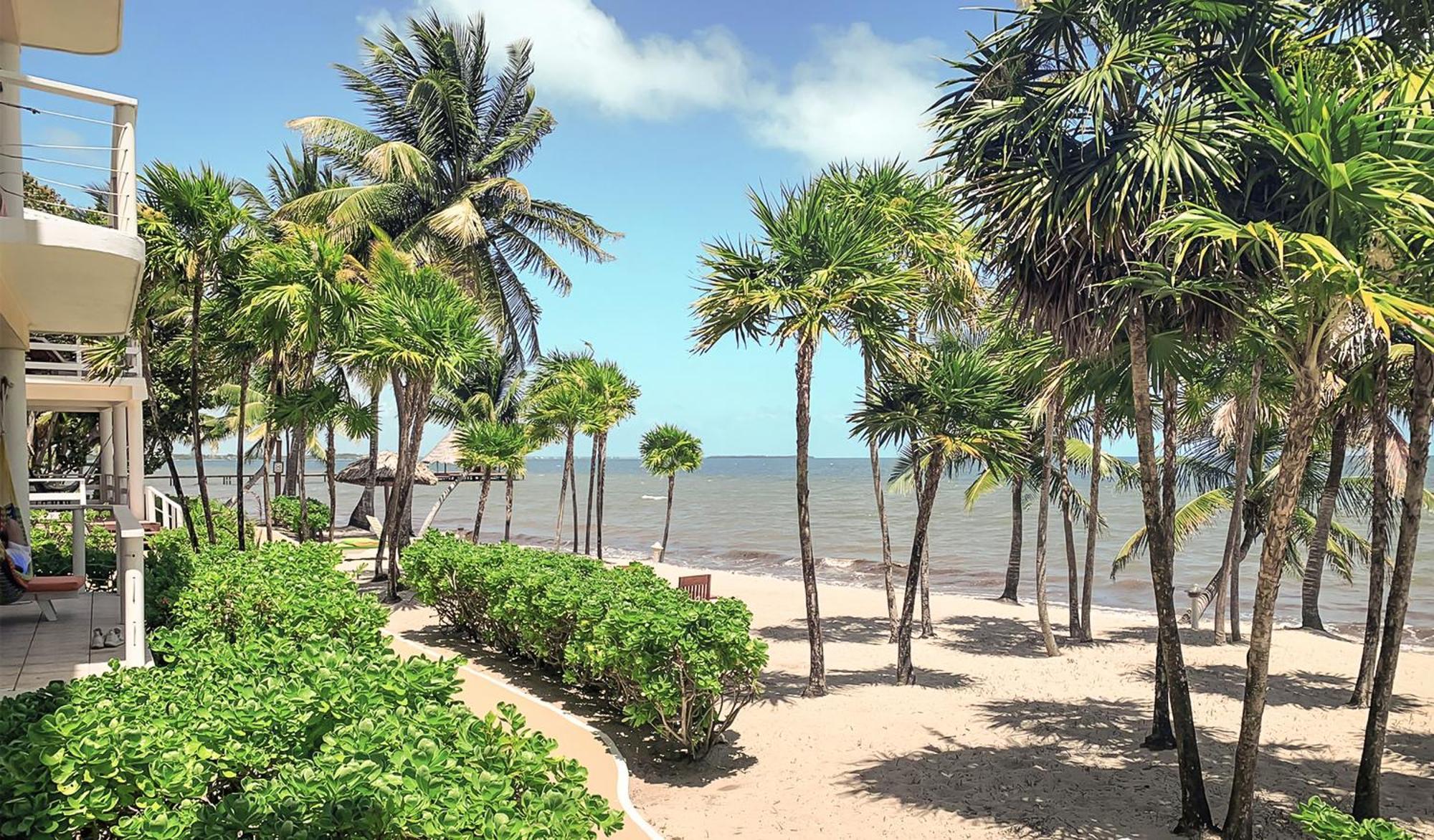 ラルー ベヤ リゾート Placencia エクステリア 写真