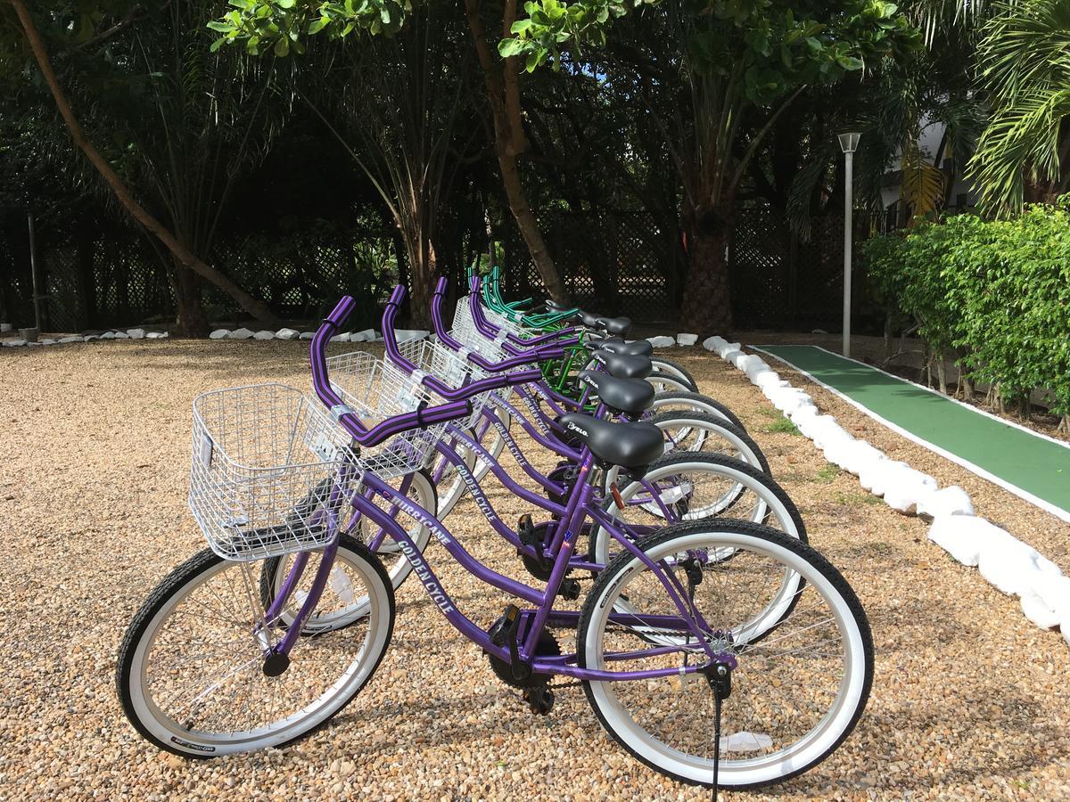 ラルー ベヤ リゾート Placencia エクステリア 写真