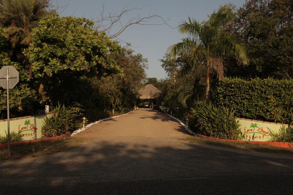 ラルー ベヤ リゾート Placencia エクステリア 写真
